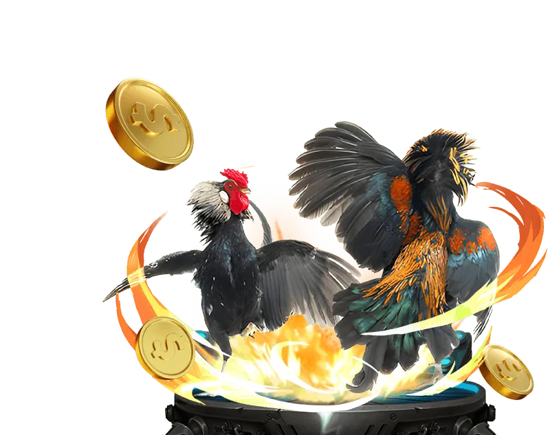 Đá Gà Trực Tuyến J88